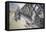 Le Pont de L'Europe-Gustave Caillebotte-Framed Premier Image Canvas