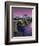 Le Pont Neuf-Isy Ochoa-Framed Premium Giclee Print