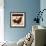 Le Poulet-Diane Stimson-Framed Art Print displayed on a wall