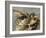 Le Premier Consul franchissant les Alpes au col du Grand Saint-Bernard-Jacques-Louis David-Framed Giclee Print