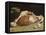 Le quartier de viande-Claude Monet-Framed Premier Image Canvas