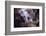 Le rendez vous-Fabien BRAVIN-Framed Photographic Print