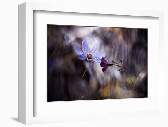 Le rendez vous-Fabien BRAVIN-Framed Photographic Print