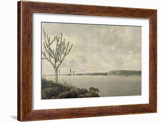 Le Rio Sao Francisco et le Fort Maurice au Brésil-Frans Post-Framed Giclee Print