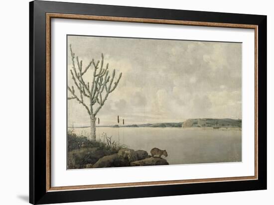 Le Rio Sao Francisco et le Fort Maurice au Brésil-Frans Post-Framed Giclee Print