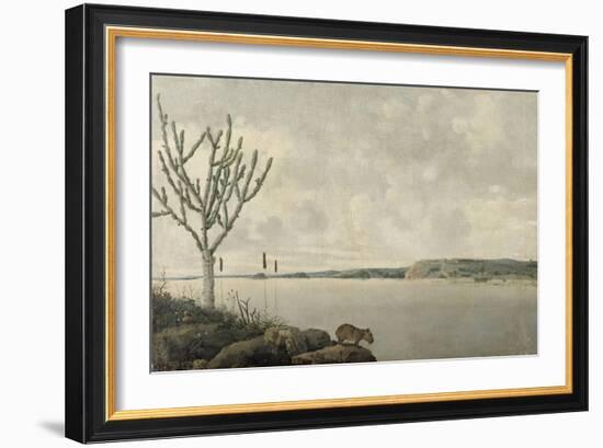 Le Rio Sao Francisco et le Fort Maurice au Brésil-Frans Post-Framed Giclee Print