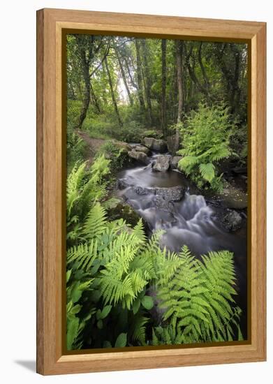 Le Ruisseau Du Pont Dom Jean-Philippe Manguin-Framed Premier Image Canvas