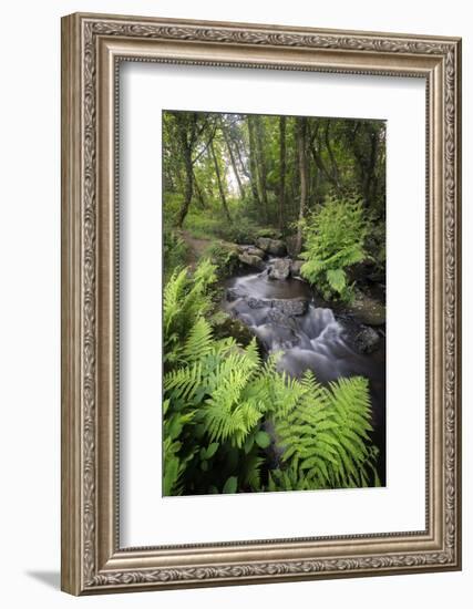 Le Ruisseau Du Pont Dom Jean-Philippe Manguin-Framed Photographic Print