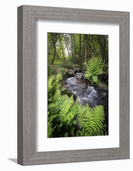 Le Ruisseau Du Pont Dom Jean-Philippe Manguin-Framed Photographic Print