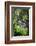 Le Ruisseau Du Pont Dom Jean-Philippe Manguin-Framed Photographic Print