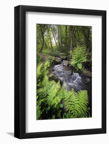 Le Ruisseau Du Pont Dom Jean-Philippe Manguin-Framed Photographic Print