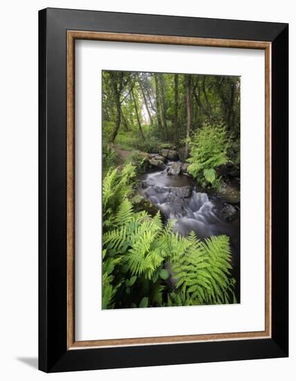 Le Ruisseau Du Pont Dom Jean-Philippe Manguin-Framed Photographic Print