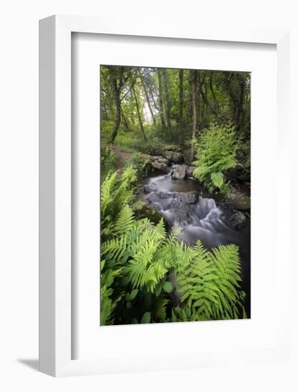 Le Ruisseau Du Pont Dom Jean-Philippe Manguin-Framed Photographic Print