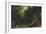 Le ruisseau noir dit aussi le ruisseau du Puits noir-Gustave Courbet-Framed Giclee Print