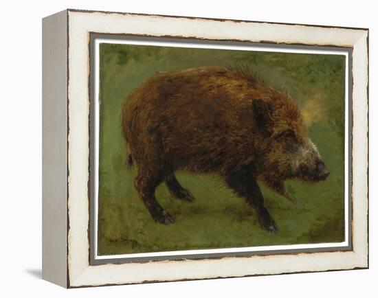 Le Sanglier (Oil on Canvas)-Rosa Bonheur-Framed Premier Image Canvas