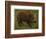 Le Sanglier (Oil on Canvas)-Rosa Bonheur-Framed Giclee Print