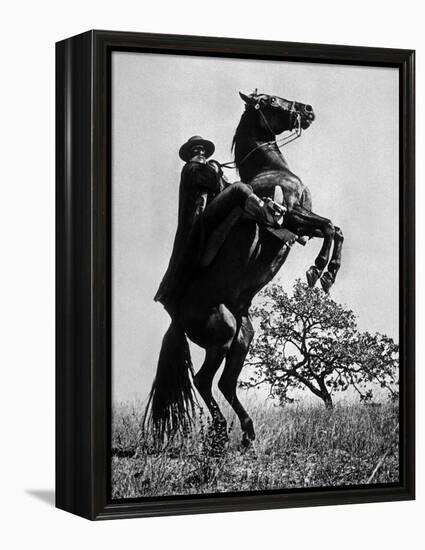 Le Signe De Zorro the Sign of Zorro De Norman Foster Et Lewis R. Foster Avec Guy Williams 1958-null-Framed Stretched Canvas