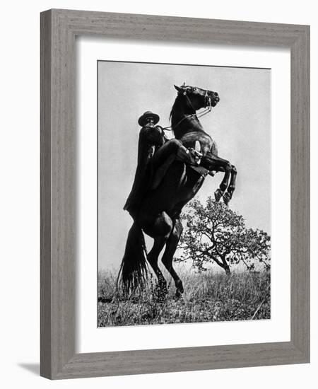 Le Signe De Zorro the Sign of Zorro De Norman Foster Et Lewis R. Foster Avec Guy Williams 1958-null-Framed Photo