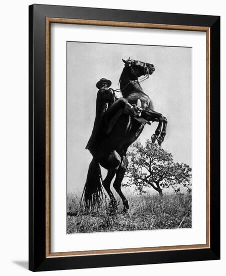 Le Signe De Zorro the Sign of Zorro De Norman Foster Et Lewis R. Foster Avec Guy Williams 1958-null-Framed Photo