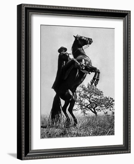 Le Signe De Zorro the Sign of Zorro De Norman Foster Et Lewis R. Foster Avec Guy Williams 1958-null-Framed Photo