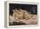 Le Sommeil, 1866-Gustave Courbet-Framed Premier Image Canvas