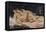 Le Sommeil, 1866-Gustave Courbet-Framed Premier Image Canvas