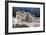 Le Sommeil, 1866-Gustave Courbet-Framed Giclee Print