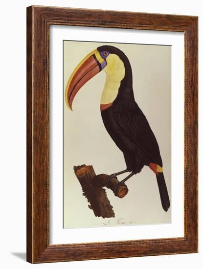 Le Tocan-Francois Levaillant-Framed Giclee Print