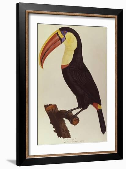 Le Tocan-Francois Levaillant-Framed Giclee Print