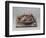 Le Tub-Edgar Degas-Framed Giclee Print