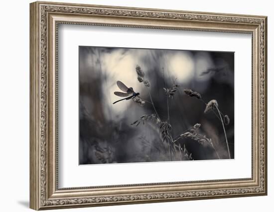 Le Vent L'Emportera-Fabien Bravin-Framed Photographic Print