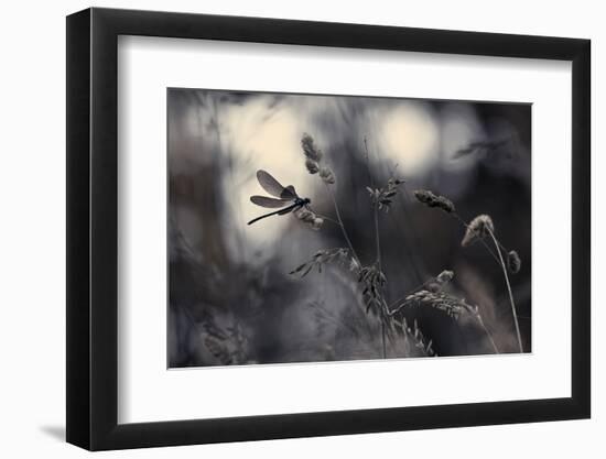 Le Vent L'Emportera-Fabien Bravin-Framed Photographic Print