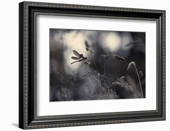 Le Vent L'Emportera-Fabien Bravin-Framed Photographic Print