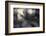 Le Vent L'Emportera-Fabien Bravin-Framed Photographic Print