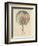 Le Vent Qui Passe Emporte La Jeunesse, 1899-Alphonse Mucha-Framed Giclee Print