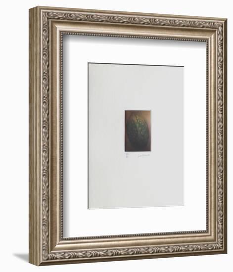 Le verger - la noix-Laurent Schkolnyk-Framed Limited Edition