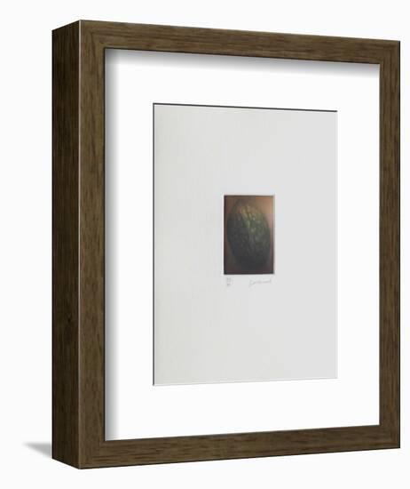 Le verger - la noix-Laurent Schkolnyk-Framed Limited Edition