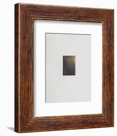 Le verger - la noix-Laurent Schkolnyk-Framed Limited Edition