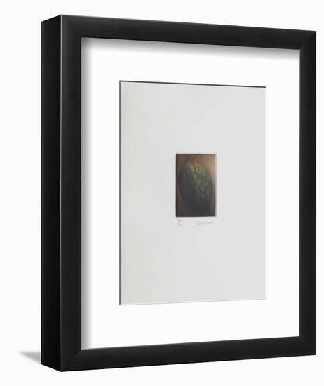 Le verger - la noix-Laurent Schkolnyk-Framed Limited Edition