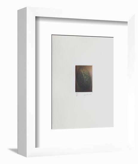 Le verger - la noix-Laurent Schkolnyk-Framed Limited Edition