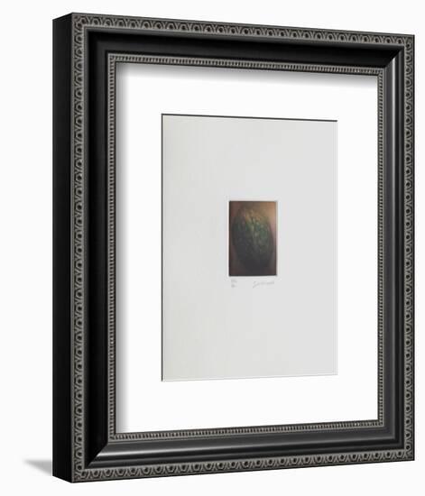 Le verger - la noix-Laurent Schkolnyk-Framed Limited Edition