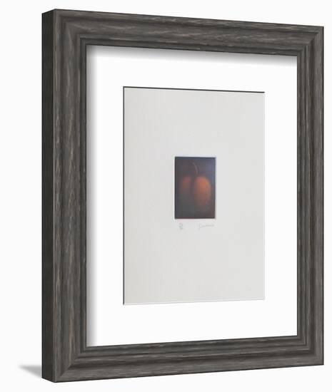 Le verger - la prune-Laurent Schkolnyk-Framed Limited Edition