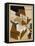 Le Violon, C.1915-1916-Juan Gris-Framed Premier Image Canvas