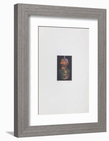 Le violon magique-Laurent Schkolnyk-Framed Limited Edition