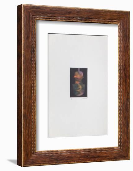 Le violon magique-Laurent Schkolnyk-Framed Limited Edition