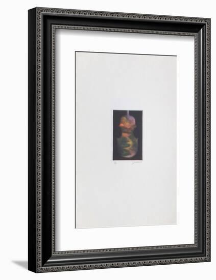 Le violon magique-Laurent Schkolnyk-Framed Limited Edition