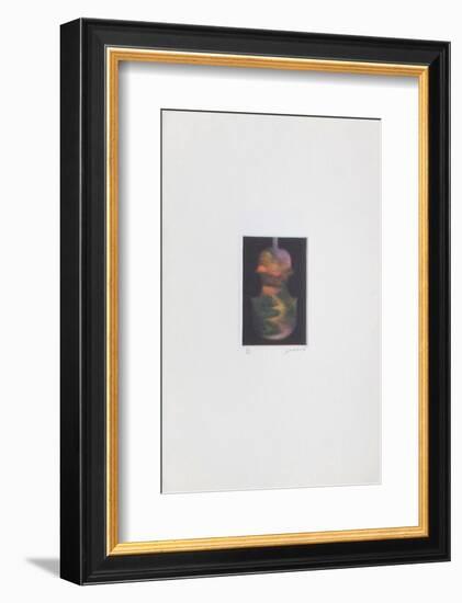 Le violon magique-Laurent Schkolnyk-Framed Limited Edition