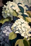 Hydrangea Flowers-Lea Faucher-Art Print