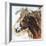 Lead Mare-Renee Gould-Framed Giclee Print