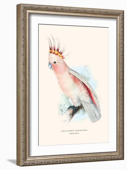 Leadbeater's Cockatoo - Cocatua Leadbeateri-Edward Lear-Framed Art Print